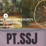 Lokasi PT.SSJ Kelapa Sawit Ditemukan Tambang Emas Tanpa Izin PETI /Ilegal