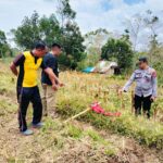 Team Inafis Polres Gowa Bersama Personil Polsek Tompobulu Lakukan Olah TKP Kasus Pembunuhan